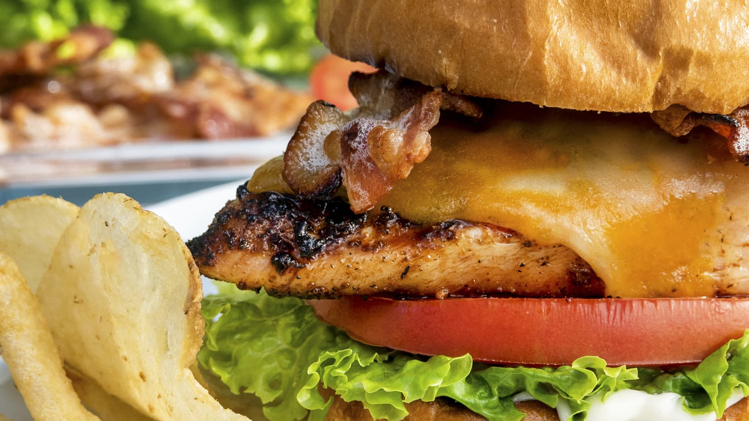 Grilled Chicken Sandwich